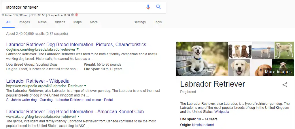 labrador-retriever
