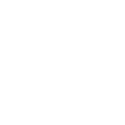 cruises1-1-180x180